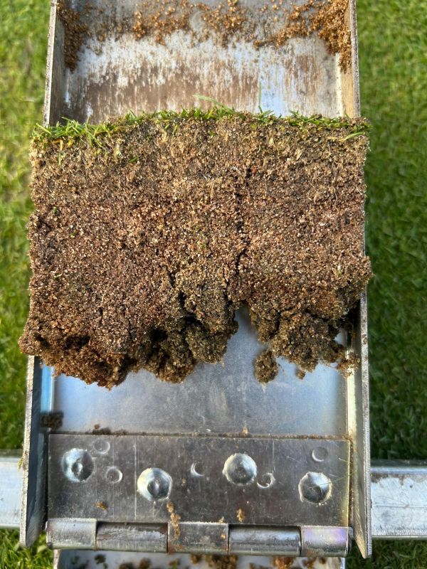 Strengthen rootzones for better playing surfaces